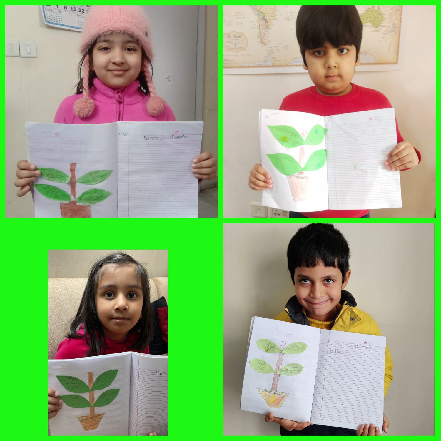Plants our friends